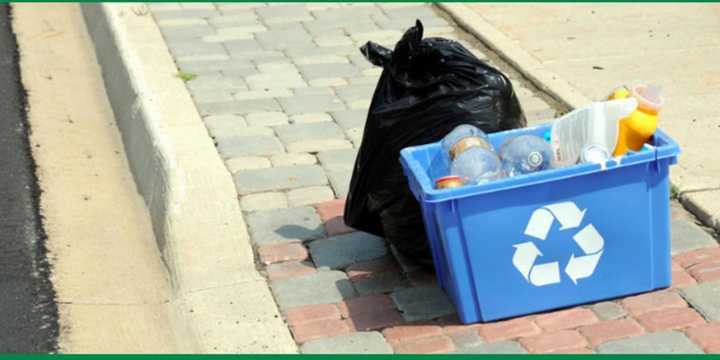 Gaeta Recycling will begin the curbside recycling collection of yard waste this week.