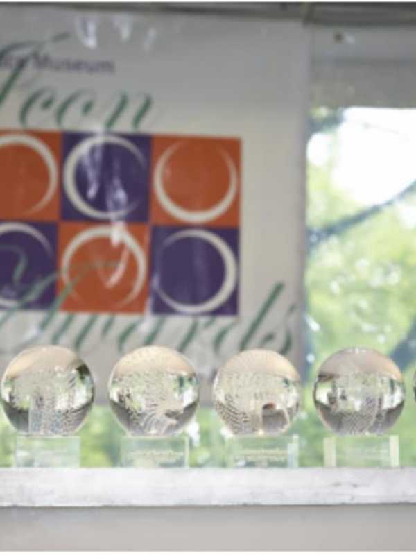 Greenwich's Bruce Museum Honors Art World Visionaries With Icon Awards