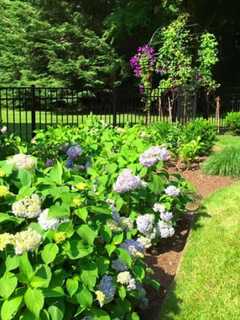 Mount Vernon Library Offers Program On Gardening In Small Spaces