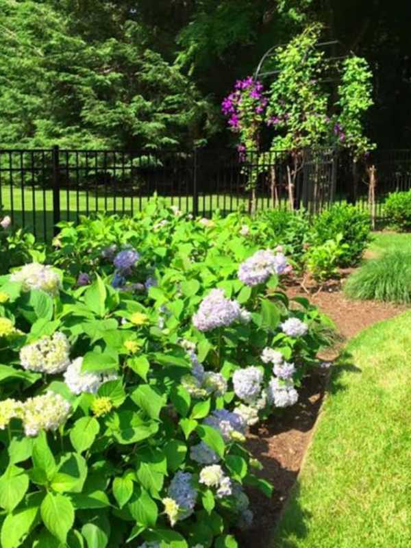 Mount Vernon Library Offers Program On Gardening In Small Spaces
