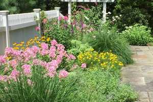 Prepare Your Perennial Garden With Simple Spring Tips