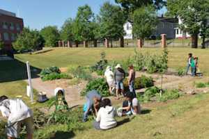 ‘Farm for Yourself’ Lectures Arrive At Danbury's WCSU In April
