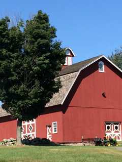 Celebrate Spring With Pancake Breakfast, Sheep Shearing In Wilton