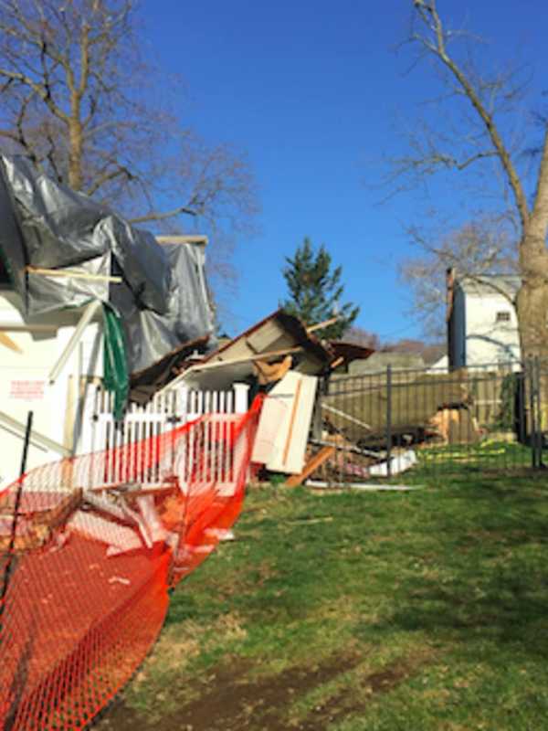 Owners Searching For Missing Cat After Tree Demolishes Stamford Home