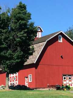 Spring Comes To Wilton’s Ambler Farm With Pancake Breakfast, Sheep Shearing