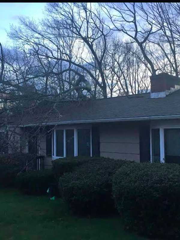 Large Tree Falls Through Roof Of Monroe Home; No Injuries Reported