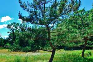 Ramapough Conservancy Offers Historical Walking Tour In Mahwah