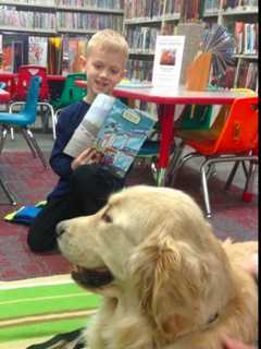 Therapy Dog Returns To Bloomingdale Library