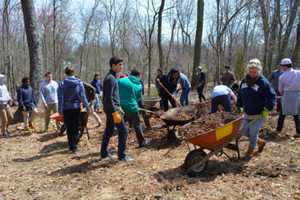 Westport Tree Board Offers Tree Seedling Giveaway