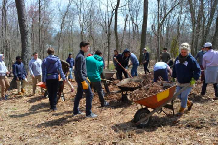 Westport Tree Board Offers Tree Seedling Giveaway