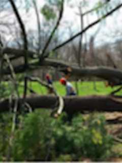Greenwich Land Trust Showcases Wilson Preserve