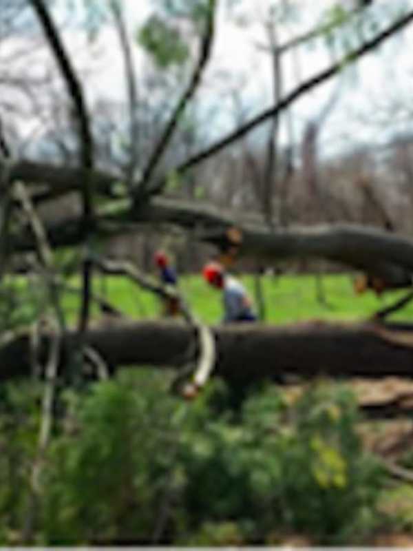 Greenwich Land Trust Showcases Wilson Preserve