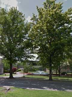 Friends Of The Lodi Library Organizes Membership Drive
