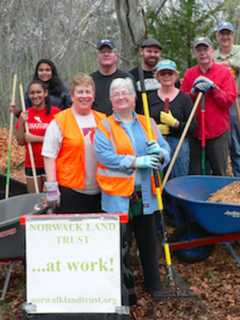 Norwalk Land Trust Volunteers Clean Up Farm Creek Preserve