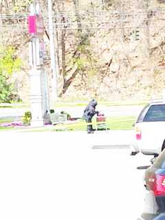 Suspicious Package Shuts Down Thornwood Shopping Center