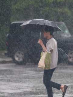 Monroe Cancels Harvest Festival Due To Rainy Forecast