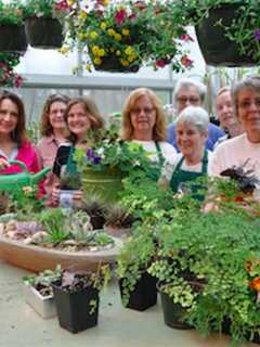 Find Mom The Perfect Gift At Wilton Garden Club's Mother's Day Plant Sale