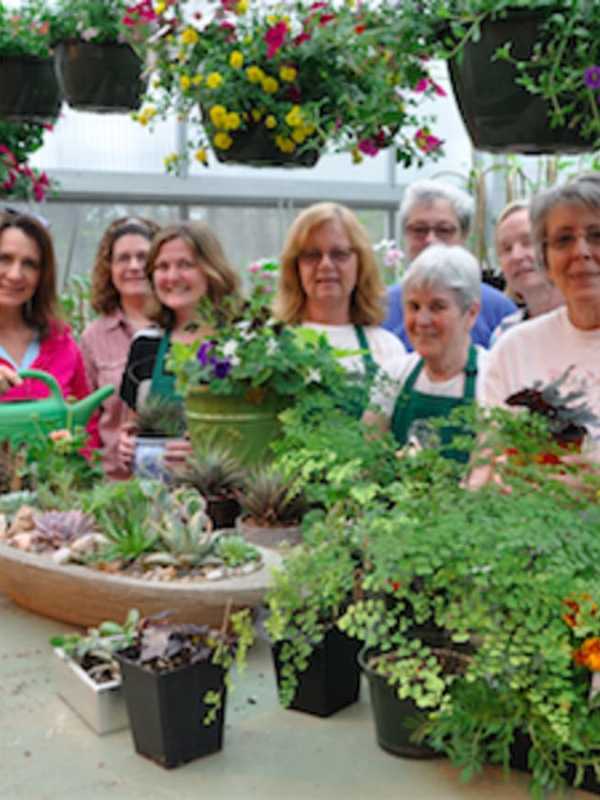 Find Mom The Perfect Gift At Wilton Garden Club's Mother's Day Plant Sale