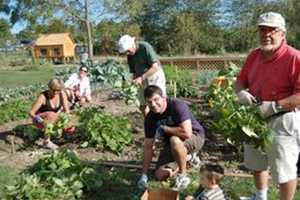 Westport's Wakeman Town Farm Hosts Green Day Family Activities