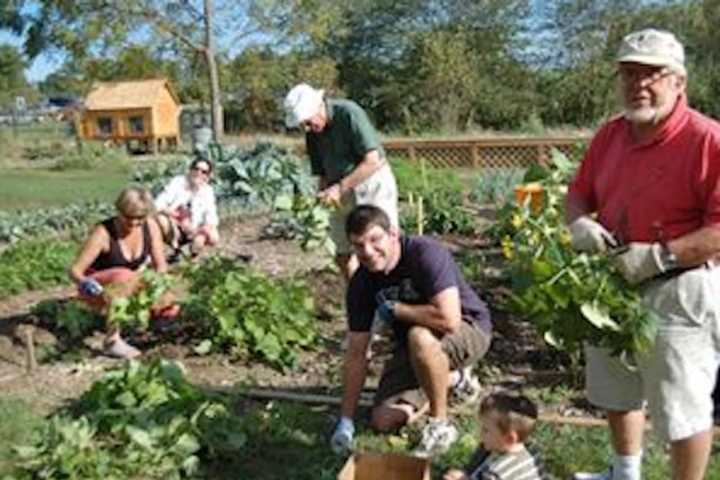 Westport's Wakeman Town Farm Hosts Green Day Family Activities