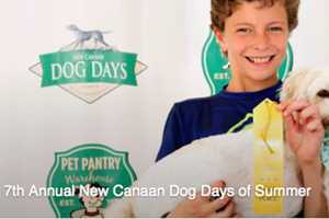 7th Annual New Canaan Dog Days of Summer To Be Held May 22