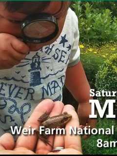 Ridgefield's Weir Farm Invites Nature Lovers To Join The Count At BioBlitz