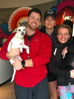 Darien Businesses Team Up To Help Animal Rescue Organization