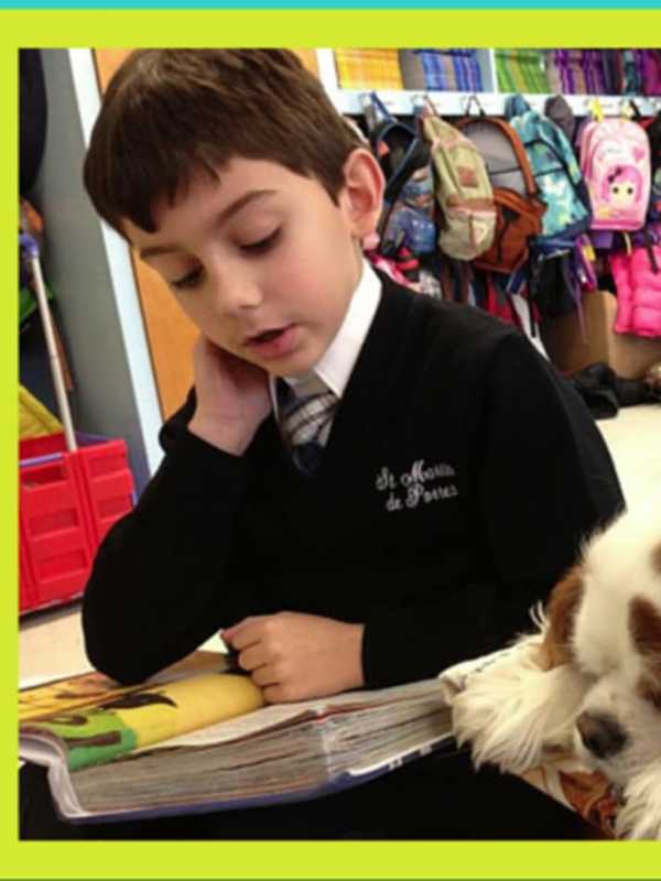 Hyde Park Therapy Dog Wins Nationwide Books, Barks Contest