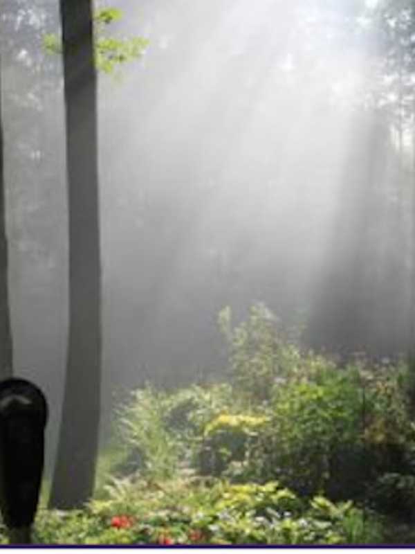Hike The Chalk Hill Nature Trail In Monroe On National Trails Day