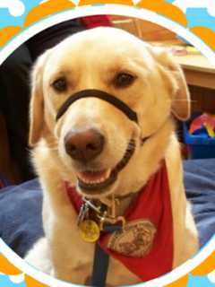 Buster The Literacy Hound Visits Red Hook Public Library