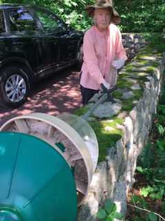 Bear Causes Excitement In New Canaan After Wandering Into Yard Of Home