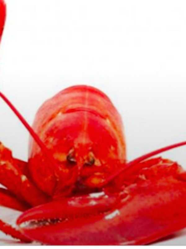 Eat Lobster, Listen To Live Music, Socialize At LobsterFest 2016 In Newtown
