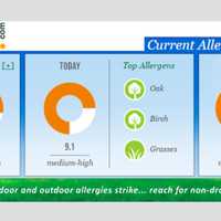 Allergy Alert Norwalk-- After a Pollen Spike, Relief Is Coming