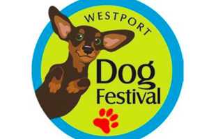 Westport Dog Show Postponed Until June 12 Due to Anticipated Stormy Weather