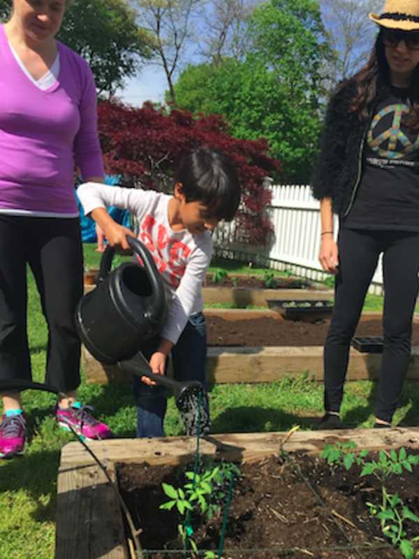Greenwich's Putnam Indian Field School Honored As Green LEAF School
