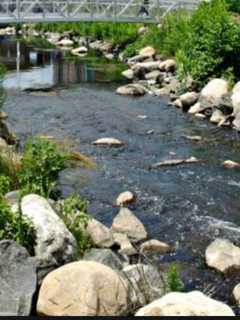 Motorist Escapes Injury After Plunging Into Saw Mill River