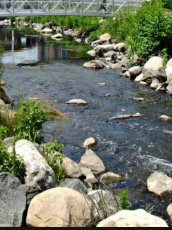 Motorist Escapes Injury After Plunging Into Saw Mill River