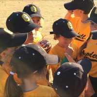 <p>Oradell T-Ball had a successful season.</p>