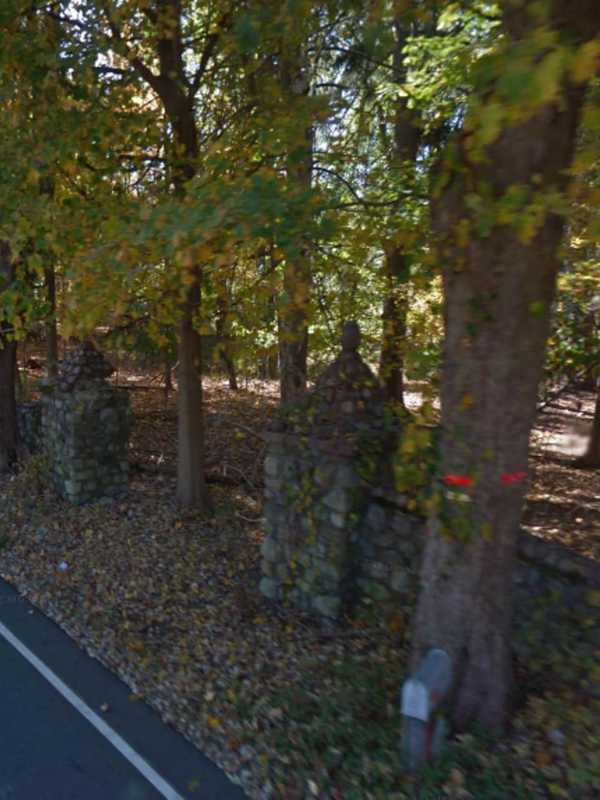 Developer Eyes Dead Millionaire's Land In Ramapo For Housing