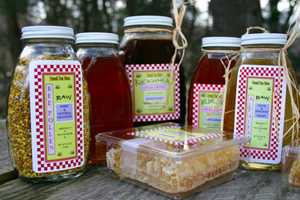 Feel The Buzz With Local Honey From Sweet Pea Farm In Redding