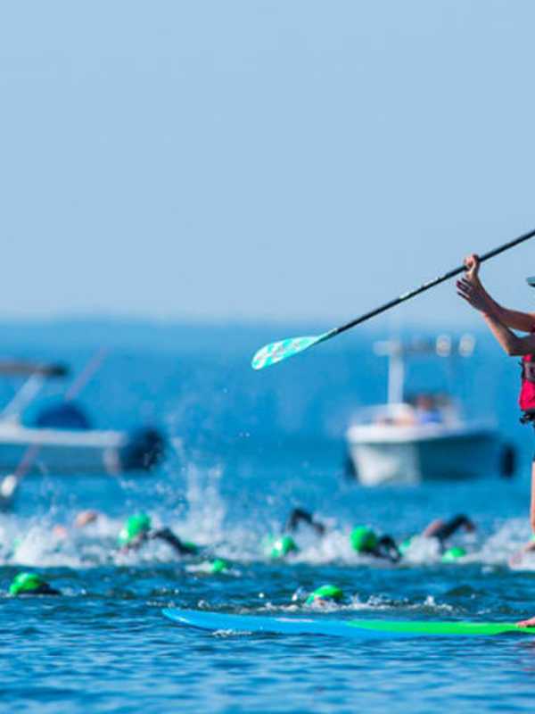 Swimmers Hit The Sound For Swim Across America In Stamford, Greenwich