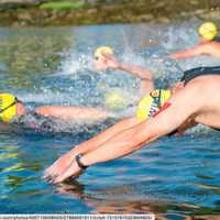 <p>Swimmers jump into Long Island Sound to begin their swim.</p>