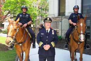 Push Your Limits At Passaic County Junior Police Academy