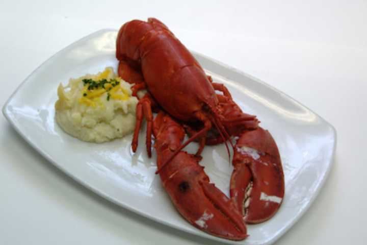 New Lobster Restaurant To Open In Stamford's Harbor Point