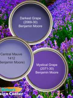 Looking To Add A Regal Touch To Your Home? Let Purple Help