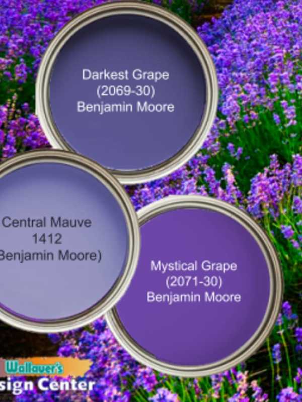 Looking To Add A Regal Touch To Your Home? Let Purple Help