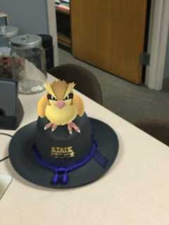 State Police Remind Pokemon Players Of Safe Ways To Catch 'Em All