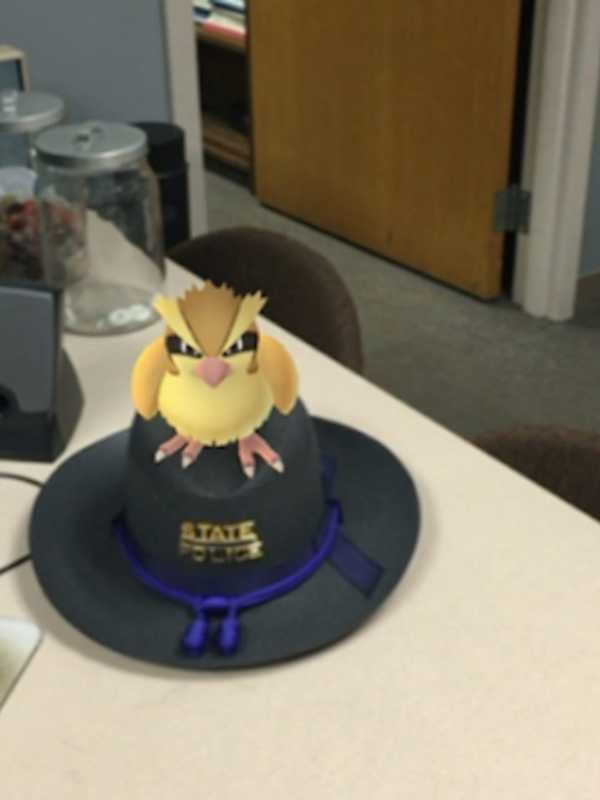 State Police Remind Pokemon Players Of Safe Ways To Catch 'Em All