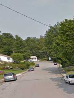 More Than 40 Cats Rescued From House Fire In Beacon