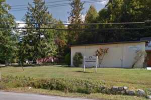 Yorktown Planning Board Review Of New Tree Law Heats Up